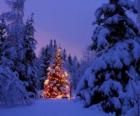 Árvore de Natal iluminado na floresta de neve