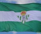 Bandeira Real Betis com duas listras verdes e uma branca, e escudo no centro