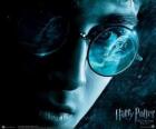 Harry Potter and the Half-Blood Prince