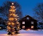 Casa com uma grande árvore de Natal decorada no jardim