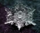 Um pequeno cristal de gelo que forma os flocos de neve