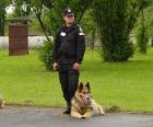Agente da polícia com o seu cão policial