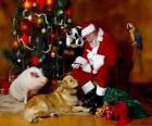 Papai Noel alimentação de alguns animais