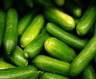 O pepino é um vegetal de verão, alongado em forma e com cerca de 15cm de comprimento. Sua pele é verde