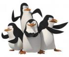 Os pinguins Skipper, Kowalski, Rico e Private.