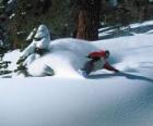 Snowboarder descendente na neve fresca