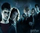 Harry Potter com os seus amigos