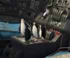 Penguins reparado um velho avião acidentado