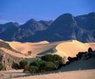 Reservas Naturais do Ar e Tenere, Niger