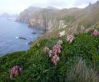 Subantarctic ilhas, incluindo as ilhas do Venetian, Bounty, Antípodas, Auckland e Campbell, localizado no Oceano Antártico, a sudeste de Nova Zelândia.