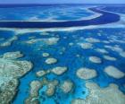 A Grande Barreira de Corais, recifes de coral em todo o mundo maior. Austrália.