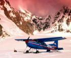 Cessna 185 na neve