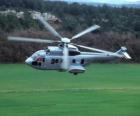 Grande helicóptero Cougar EC725