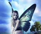 Butterfly Fairy