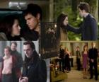 The Twilight Saga: New Moon, o Lua Nova / A Saga Twilight - Lua Nova