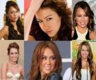 Miley Cyrus é conhecida por seu papel de Miley Stewart / Hannah Montana na série original Disney Channel, Hannah Montana.