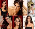 Penelope Cruz é a primeira actriz espanhola a receber um Oscar, graças ao filme Vicky Cristina Barcelona dirigido por Woody Allen.