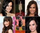 Demi Lovato é uma atriz e cantora de rock americana. Conhecido por interpretar Mitchie Torres no filme original Disney Channel, Camp Rock