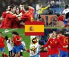 Espanha finalista South Africa 2010