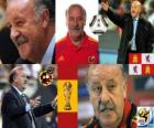 Vicente del Bosque técnico da seleção espanhola