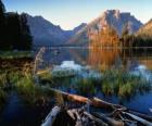 Um lago com troncos flutuantes em primeiro plano e altas montanhas são