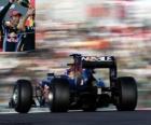 Mark Webber - Red Bull - Suzuka 2010 (2 º Classificado)