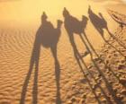Os três Reis Magos montados em camelos no seu caminho a Belém