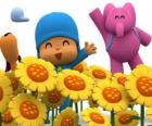 Pocoyo e seus amigos em um campo de girassóis