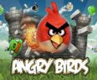 Angry Birds é um jogo de vídeo de Rovio. Os pássaros furioso atacan os porcos que rouban ovos