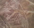 Vista aérea das figuras, uma ave, que faz parte das Linhas de Nazca, no deserto de Nazca, no Peru