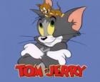 Tom e Jerry são os principais protagonistas das aventuras engraçadas