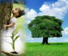 O Dia da Árvore é comemorado no Brasil o 21 de setembro e em Portugal o 21 de março. Em outros países é celebrar em diferentes datas durante a época de plantio adequada