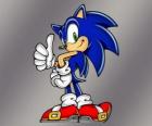 Sonic o Ouriço, o principal protagonista dos jogos de Sonic da Sega