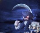 Sonic the Werehog, a última transformação do Sonic, de noite ele se transforma em um lobo ouriço