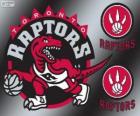 Toronto Raptors logo, o time da NBA. Divisão do Atlântico, Conferência Leste