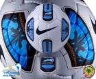 Nike Total 90 Tracer Doma a bola oficial da Copa América, Argentina 2011