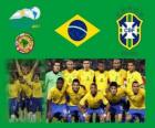 Seleção do Brasil, Grupo B, Argentina 2011