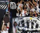 Copa Libertadores 2011 Campeão Santos FC