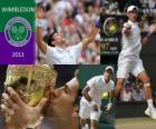 Novak Djokovic campeão de Wimbledon 2011