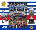 Uruguai vs Paraguai. Finais da Copa América da Argentina de 2011. 24 de julho, Estadio Monumental, em Buenos Aires