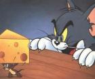 O gato Tom surpreendente o rato Jerry levando um pedaço de queijo