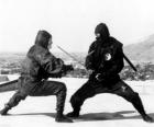 Luta entre dois ninjas