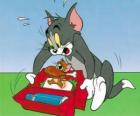 Jerry come piquenique de Tom
