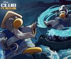 Pinguins Ninja, personagens do famoso Club Penguin