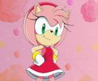 Amy Rose, a fêmea de ouriço que afirma ser a namorada de Sonic