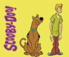 Scooby-Doo e Shaggy, dois amigos