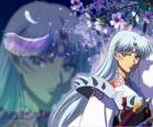 Sesshoumaru, irmão de Inuyasha. Um demônio total sem escrúpulos que odeia a seu irmão, os humanos e os fracos