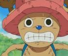 Tony Tony Chopper é um especialista médico que se transforma em uma criatura antropomórfica