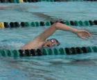 Nadador praticando o estilo crawl na pista de uma piscina de competição