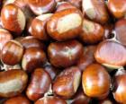 As castanhas o fruto capsular epinescente do castanheiro-da-europa